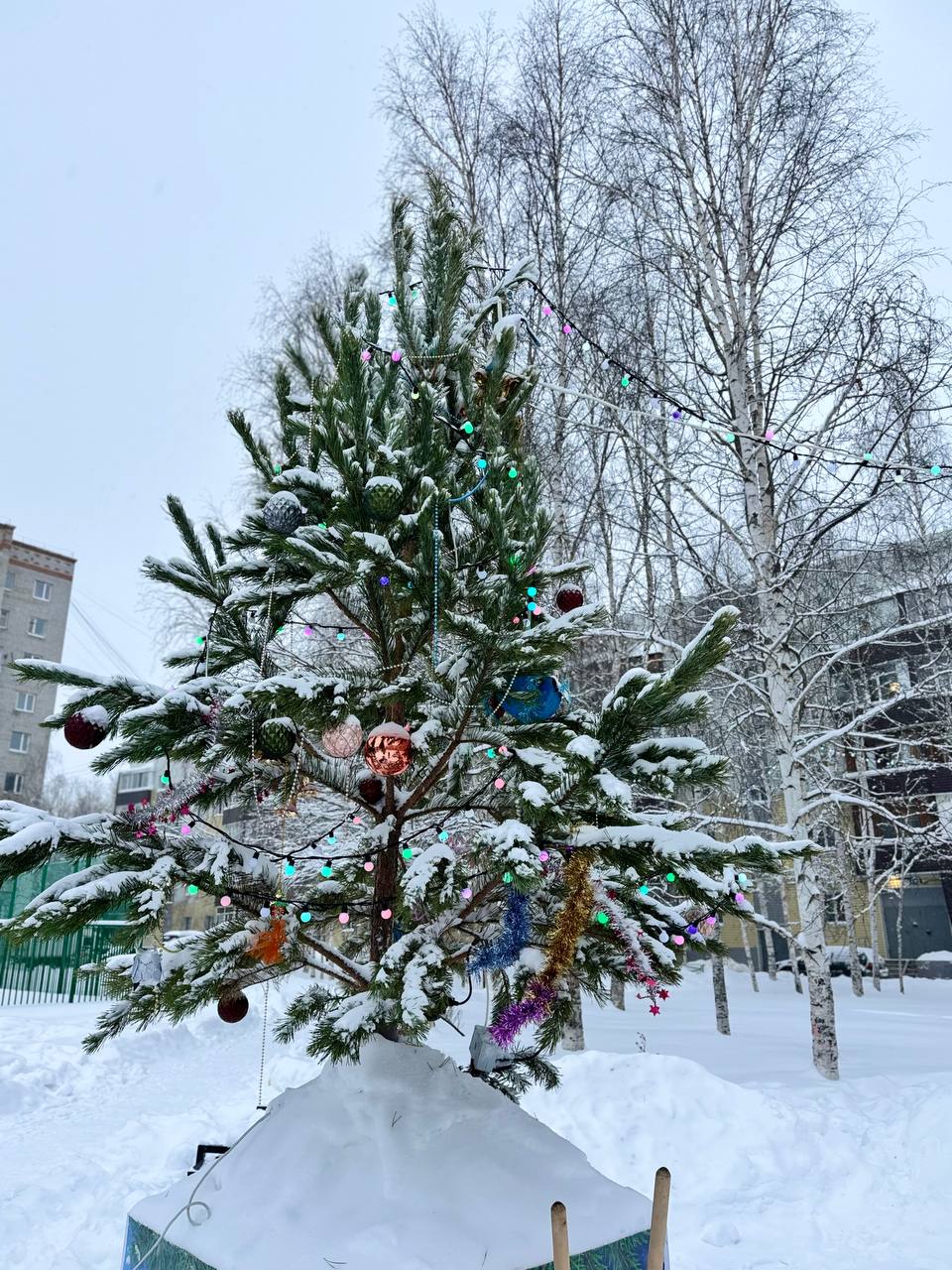 Изображения