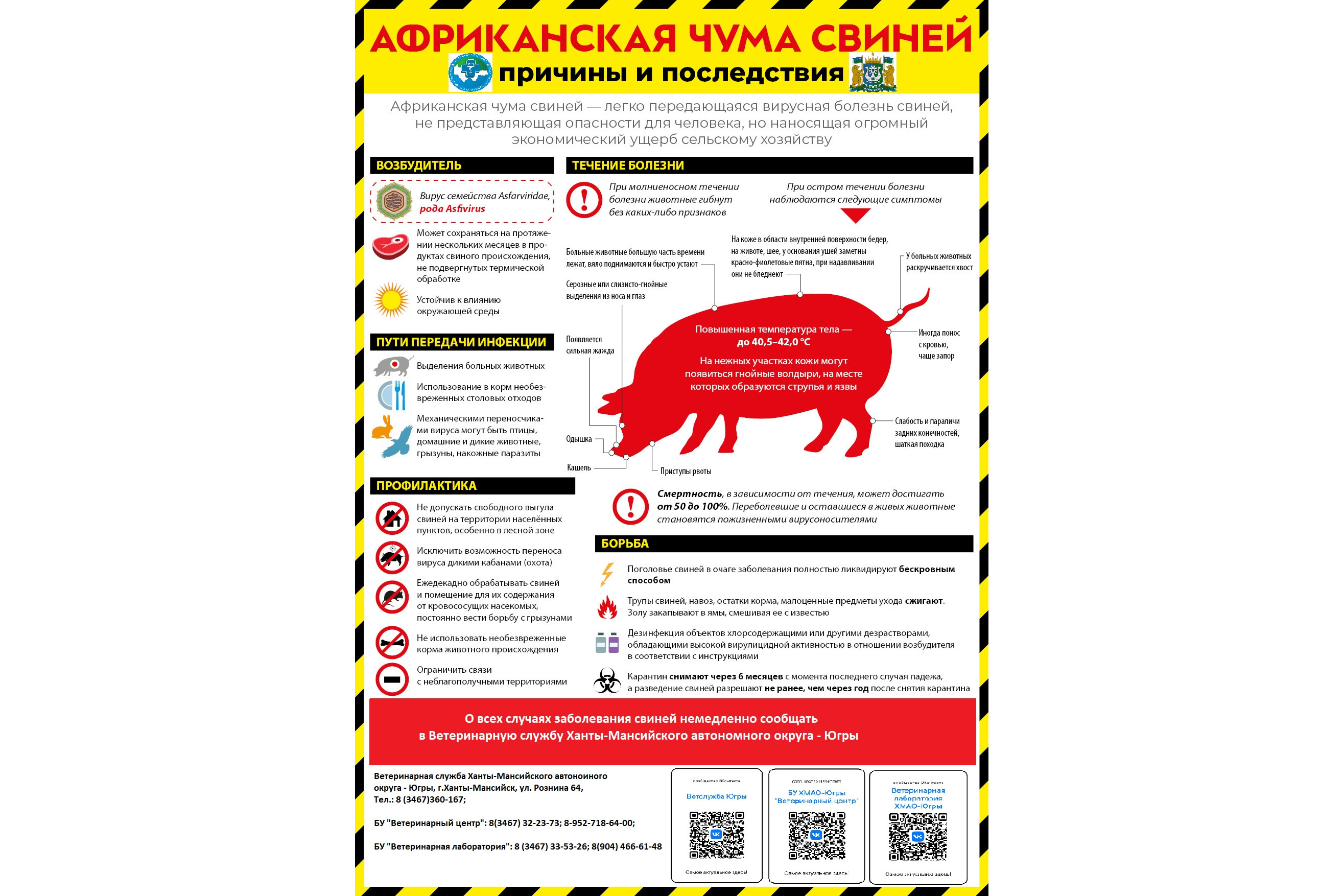 Изображения