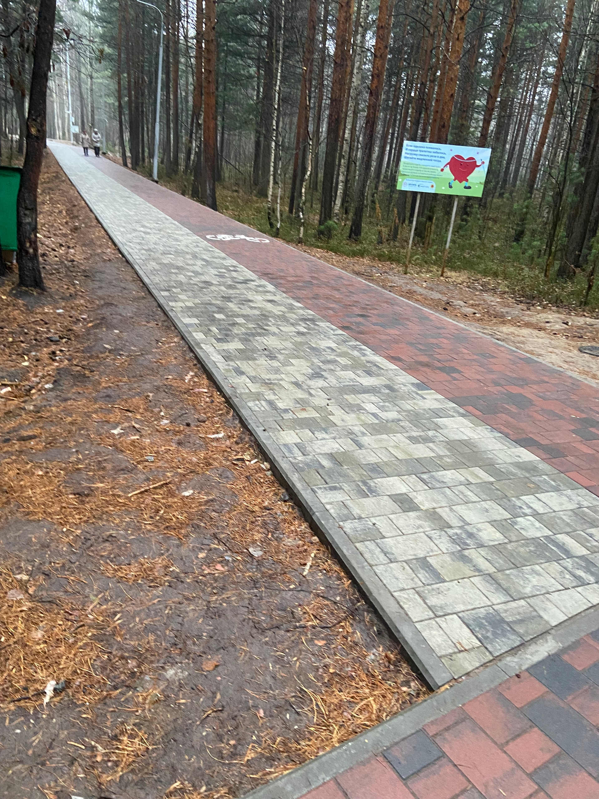 Изображения