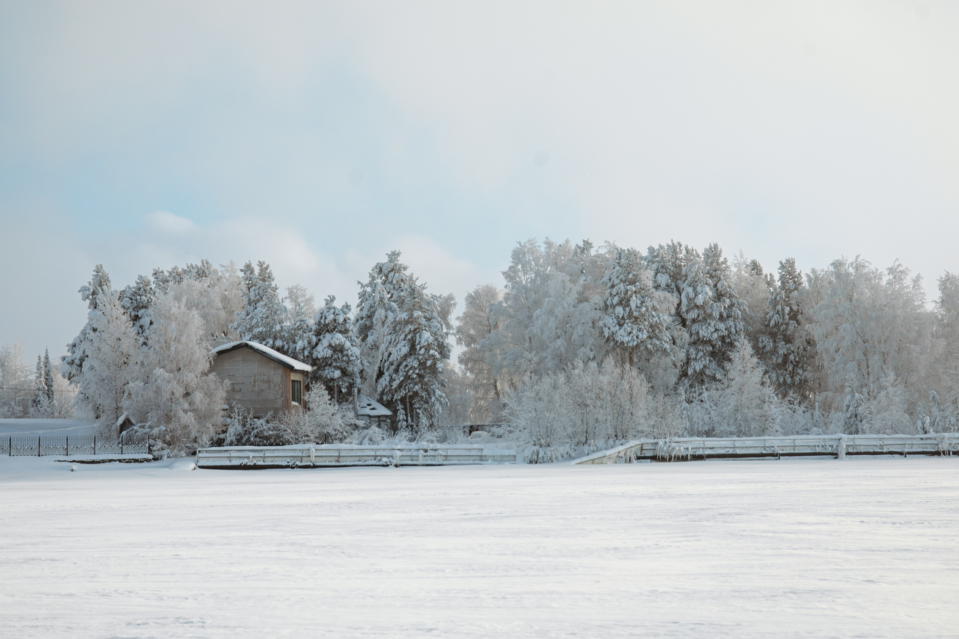 фотография дачного кооператива зимой