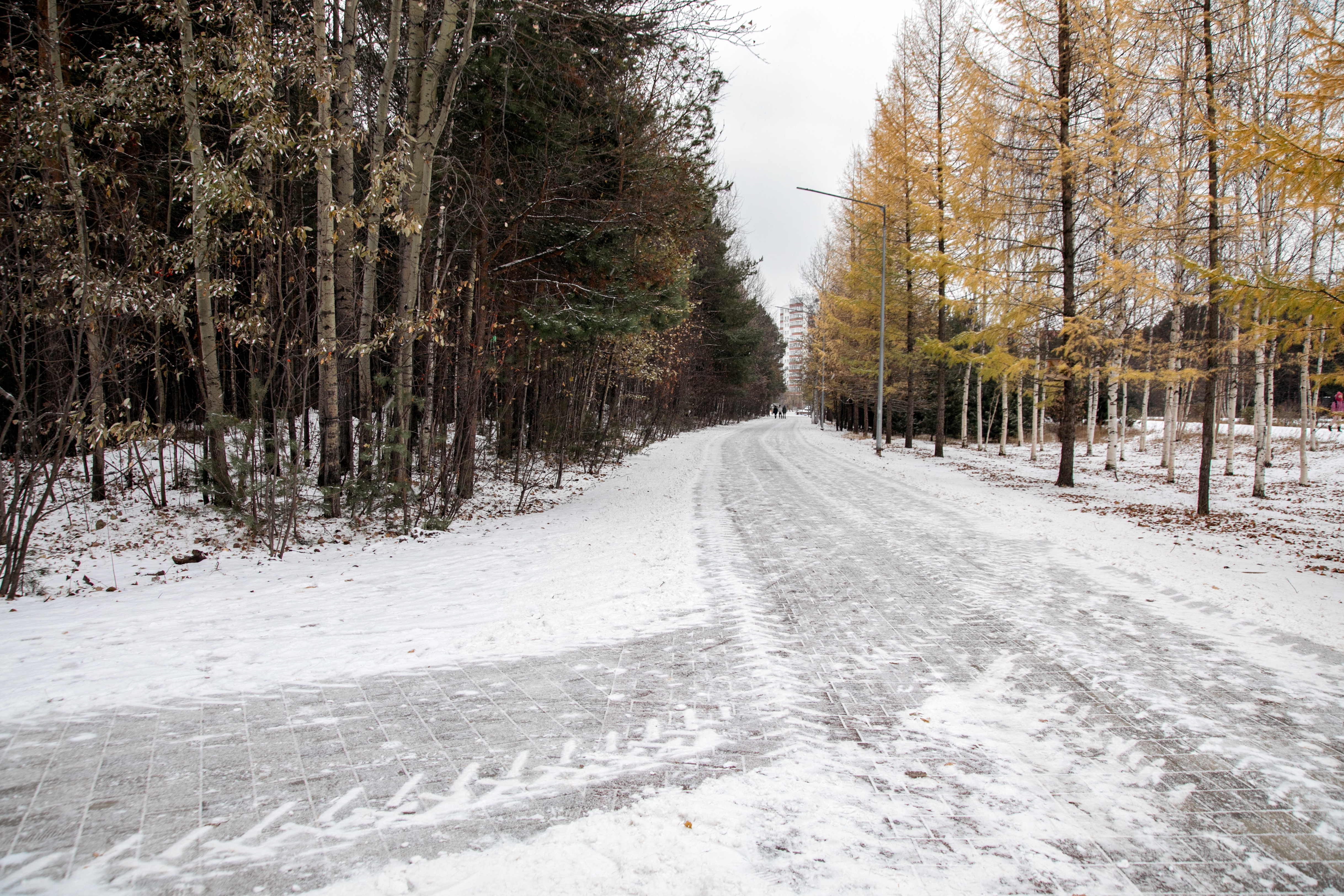фото с мероприятия