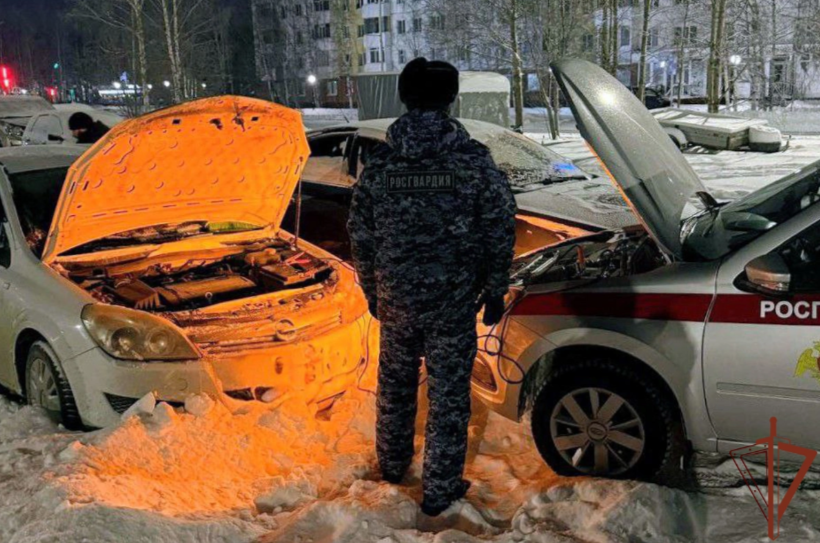 Изображения